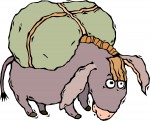 Beasts of Burden
