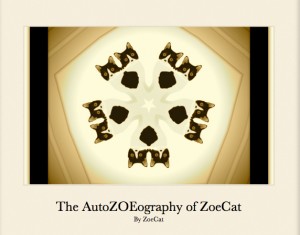 The AutoZOEography of ZoeCat