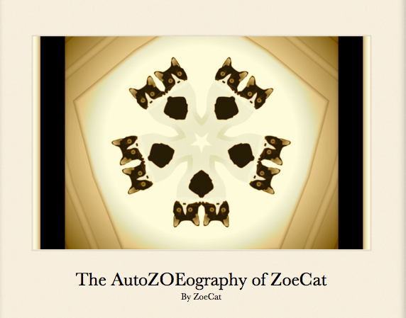 The AutoZOEography of ZoeCat